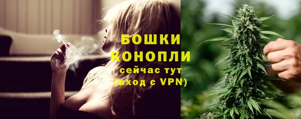 метадон Горнозаводск