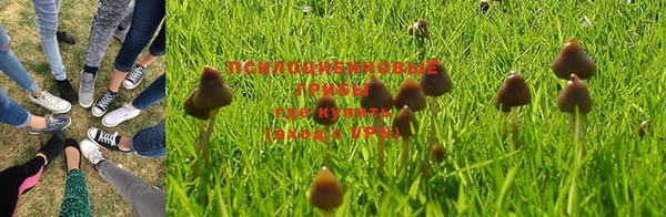 мет Горно-Алтайск