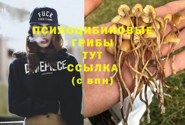 альфа пвп Горняк